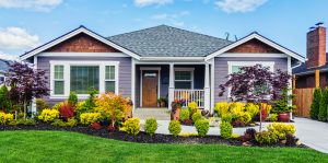 Modern house with purple siding and large windows